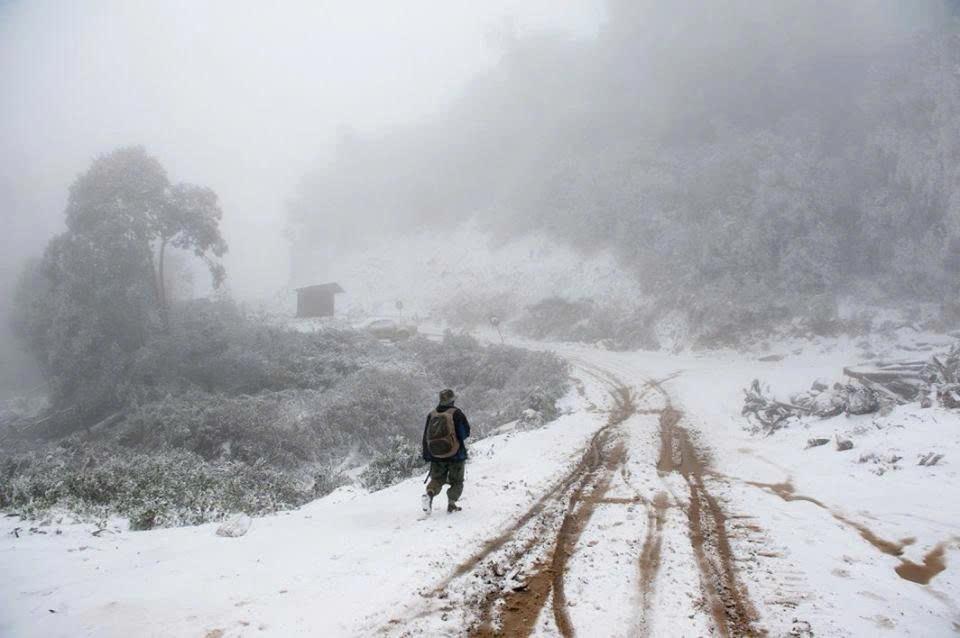Một vùng núi ở Nghệ An từng lạnh -8°C: Tuyết phủ kín đường sá, cây cối đẹp như trời Âu