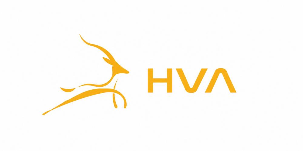 HVA: Hai kỳ báo cáo liên tiếp bị kiểm toán từ chối, hơn 125 tỷ đồng đầu tư và phải thu chưa rõ khả năng thu hồi