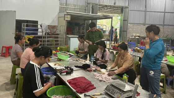 Lạng Sơn: Triệt phá 2 cơ sở chế biến chân gà không rõ nguồn gốc, thu giữ 5 tấn tang vật