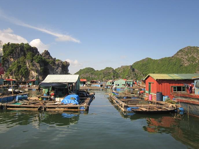 Làng chài cổ ở Việt Nam có dấu tích 7.000 năm: Lâu đời hơn kim tự tháp Ai Cập, nhà nổi giữa vịnh đá vôi