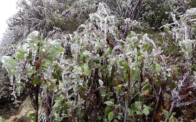Đỉnh núi giữa Tây Bắc từng hai lần xuất hiện băng giá trong một tháng, cảnh sắc đẹp tựa miền cổ tích
