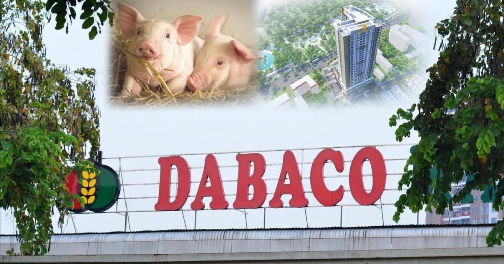 Lợi nhuận giảm, Dabaco (DBC) ghi nhận dư nợ vay và thuê tài chính vượt mốc 7.600 tỷ đồng