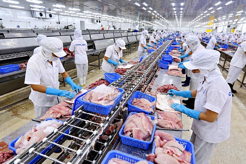 CASEAMEX báo lãi 9 tháng tăng hơn 32% dù doanh thu đi ngang