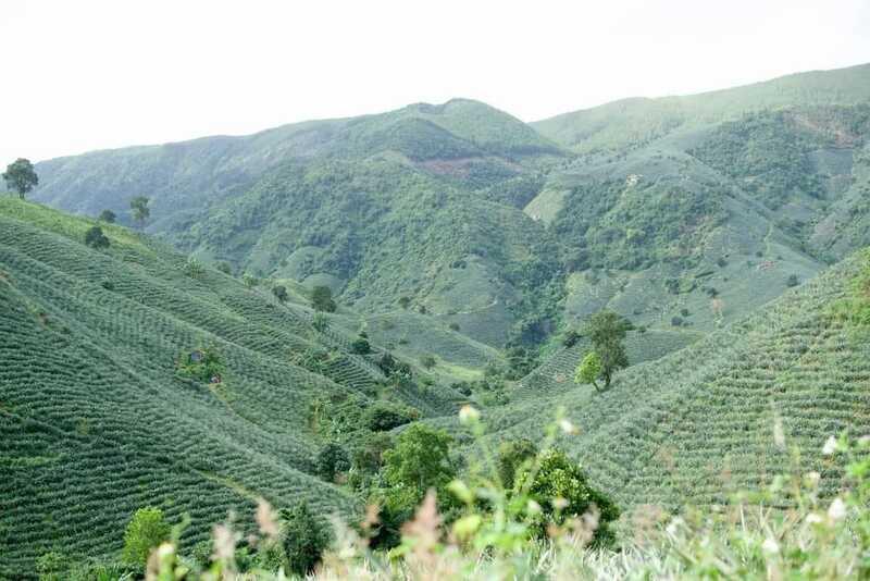 Thung lũng đẹp như tranh ở miền Trung: Được ví như “Tây Bắc thu nhỏ”, nổi bật với những đồi dứa xanh mướt