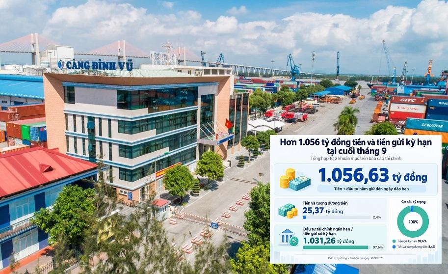 Sản lượng hàng hóa tăng, Cảng Đình Vũ thu lãi hơn 1 tỷ đồng mỗi ngày