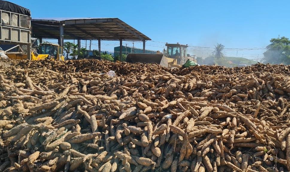 Doanh thu quý III giảm hơn 560 tỷ đồng, APF vẫn tăng lợi nhuận nhờ đâu?