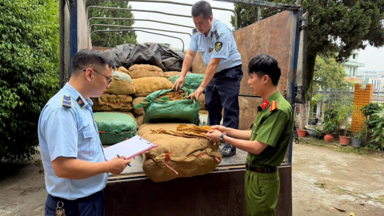Siết chặt thị trường biên giới: Cao Bằng thu giữ hơn 1,2 tấn nguyên liệu thuốc lá trái phép