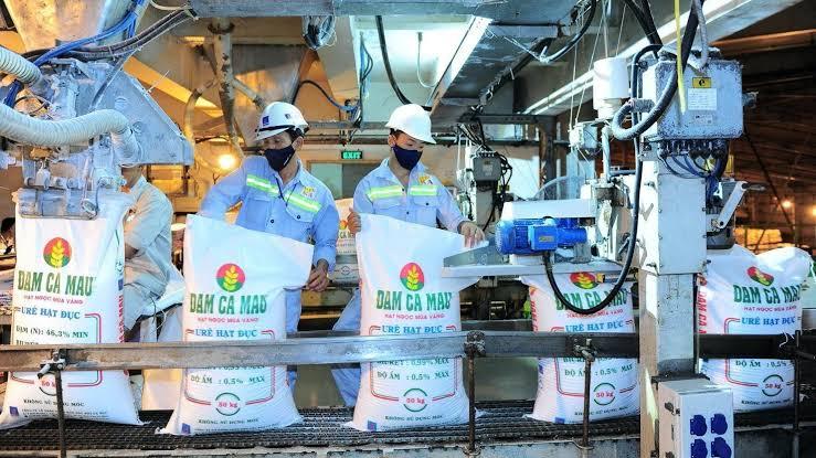 Lãi lớn quý III, Đạm Cà Mau chi mạnh cho dàn lãnh đạo, Chủ tịch nhận gần 5,4 tỷ đồng