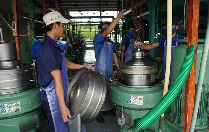 Cao su Đồng Phú giảm cổ tức, GVR vẫn sắp nhận 67 tỷ đồng